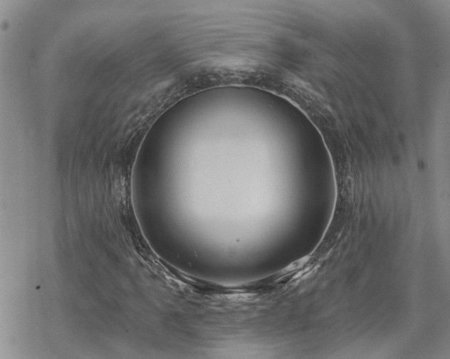 X0000070361061200606091026