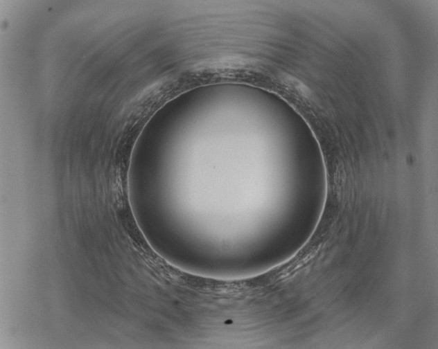 X0000070361062200606091026