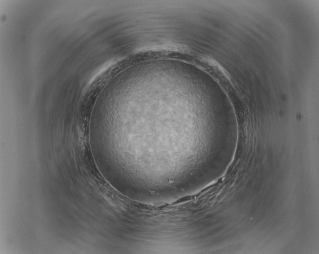 X0000070361064200606091026