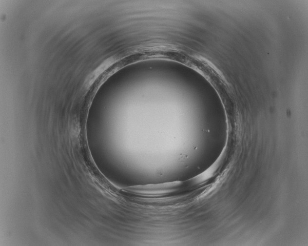 X0000070361065200606091026