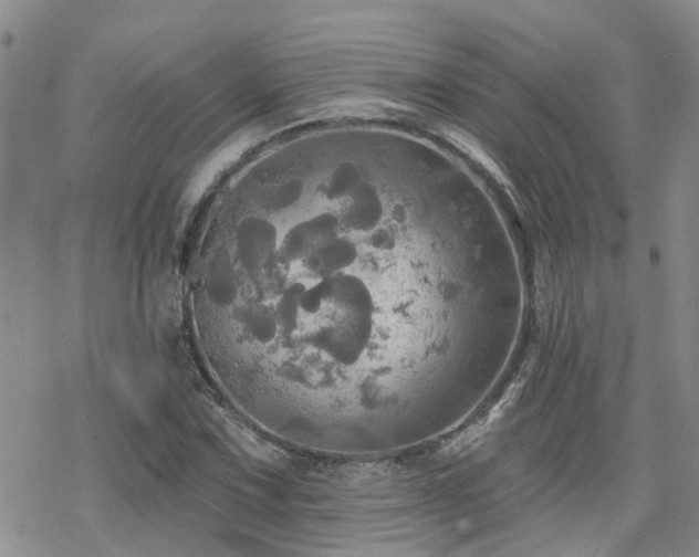 X0000070361067200606091026