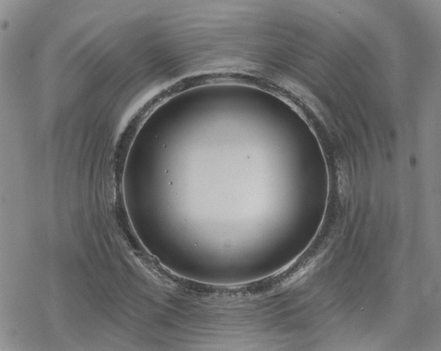 X0000070361069200606091026