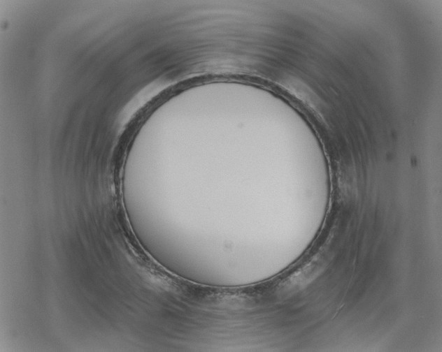 X0000070361070200606091026