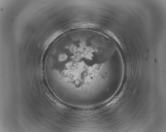 X0000070361071200606091026