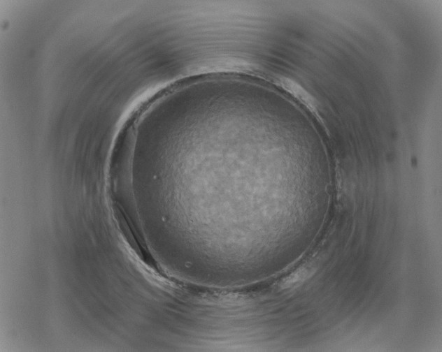 X0000070361072200606091026