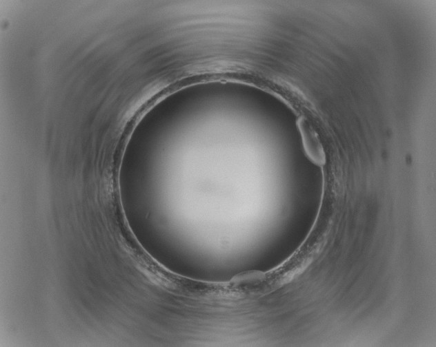 X0000070361073200606091026