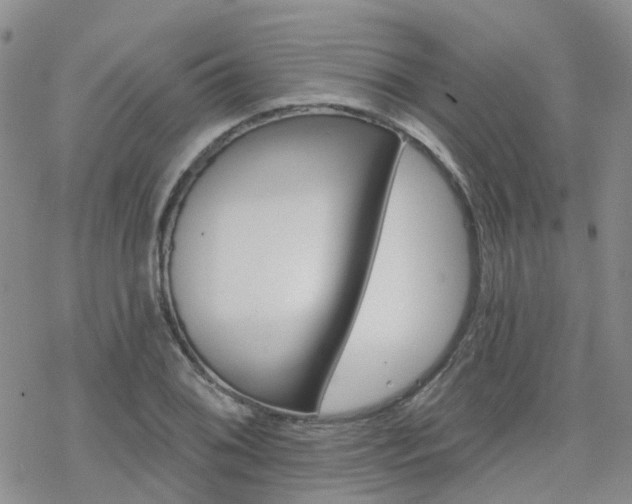 X0000070361076200606091026