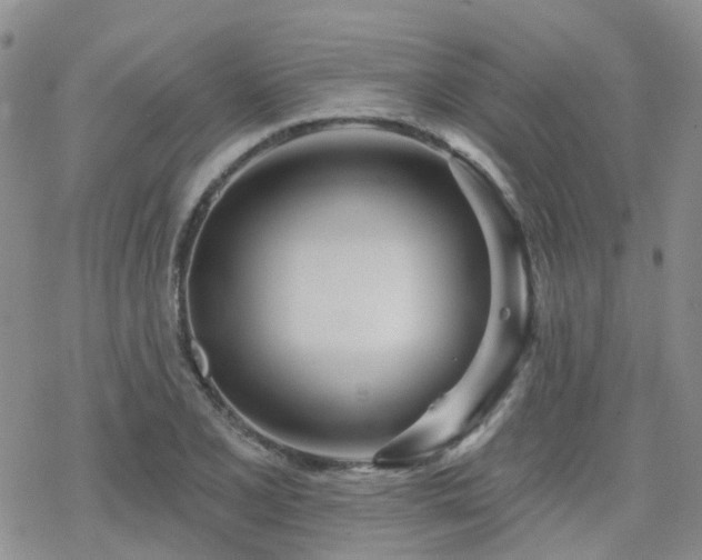 X0000070361077200606091026