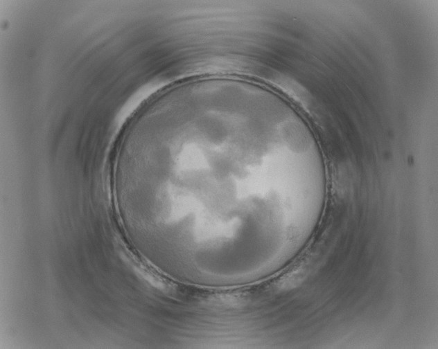 X0000070361078200606091026