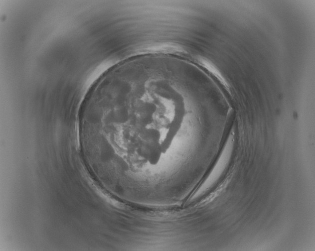 X0000070361079200606091026