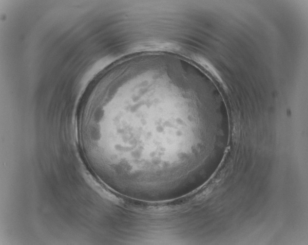 X0000070361080200606091026