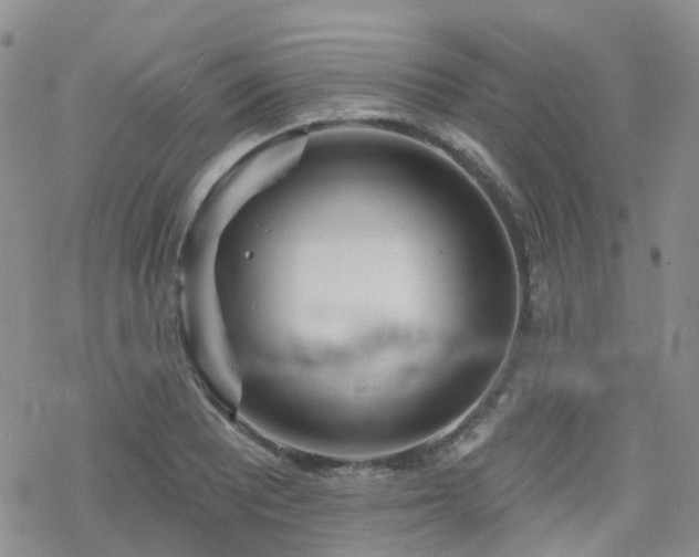 X0000070361081200606091026