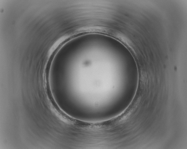 X0000070361082200606091025