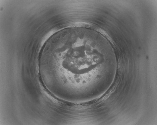 X0000070361083200606091025