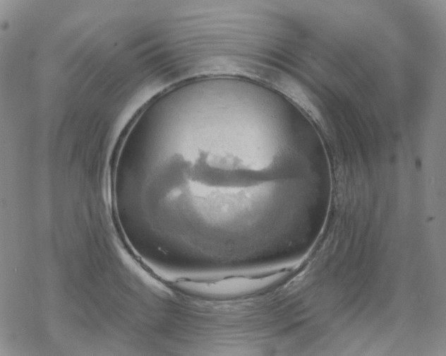 X0000070361084200606091025