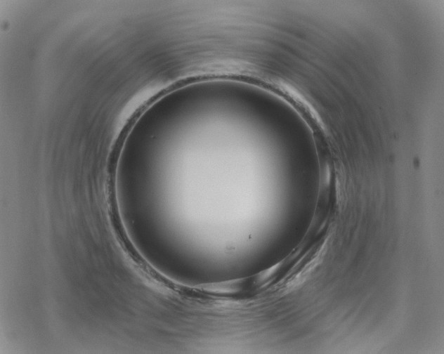 X0000070361085200606091025