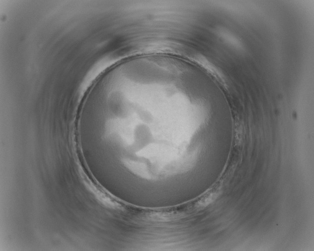 X0000070361086200606091025