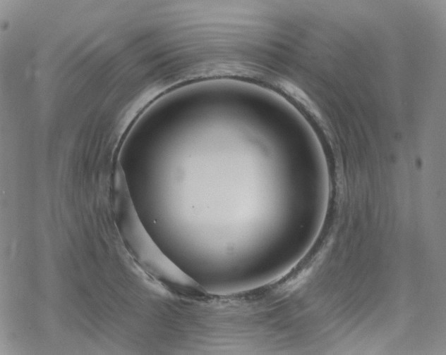 X0000070361089200606091025