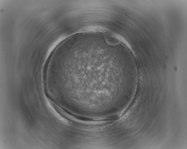 X0000070361091200606091025