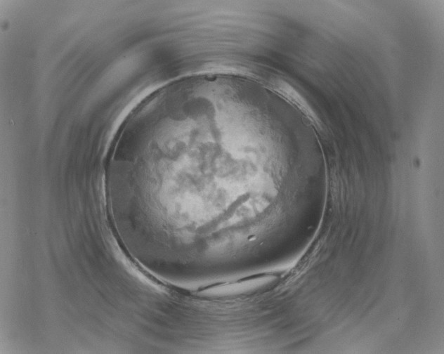 X0000070361092200606091025