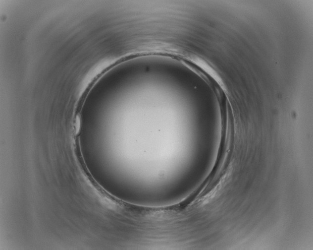 X0000070361093200606091025