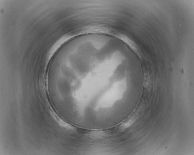 X0000070361094200606091025