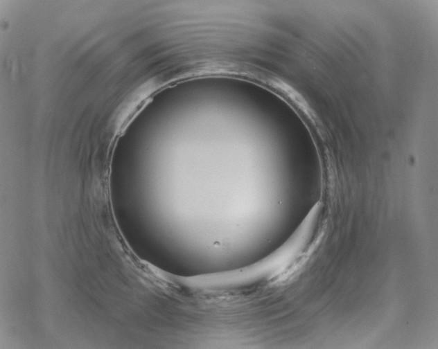 X0000070361097200606091025