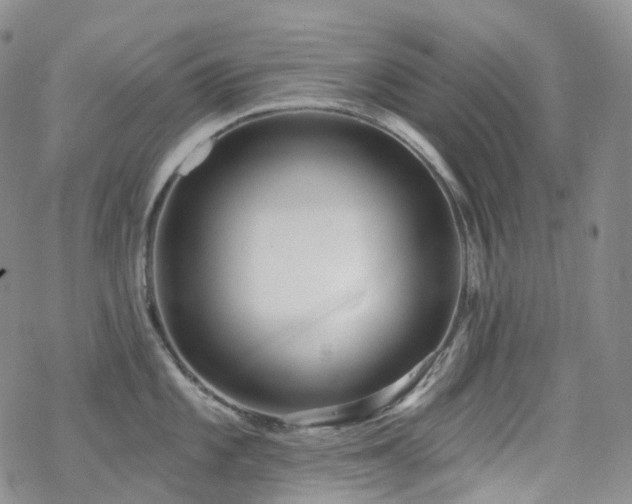 X0000070361101200606091025