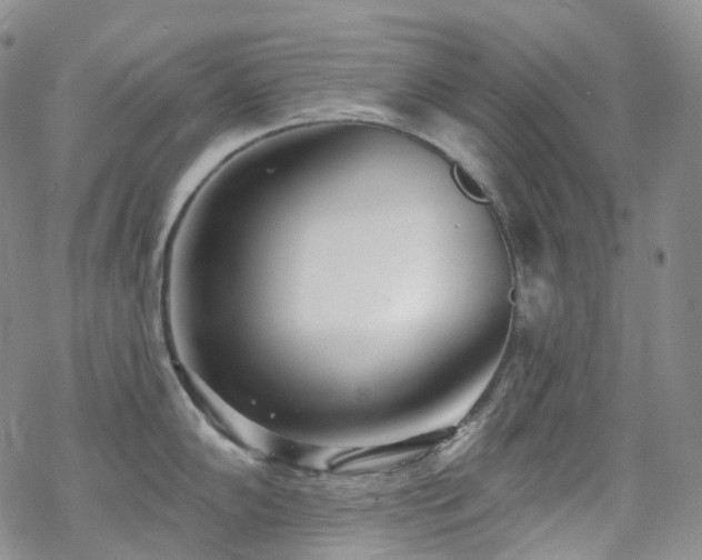 X0000070361102200606091025