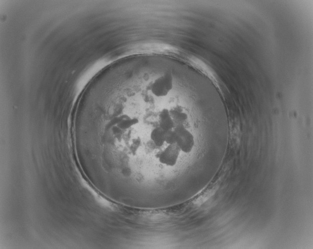 X0000070361103200606091025