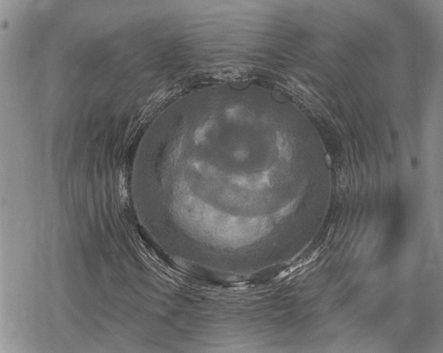 X0000070361106200606091024