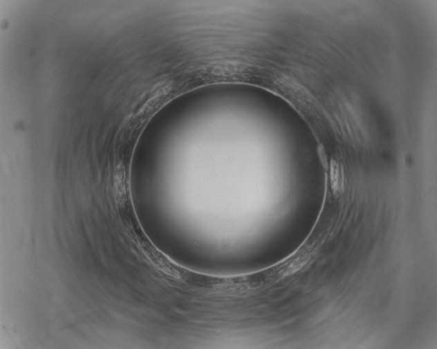 X0000070361107200606091024