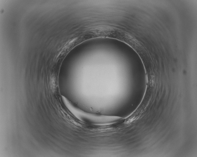 X0000070361108200606091024