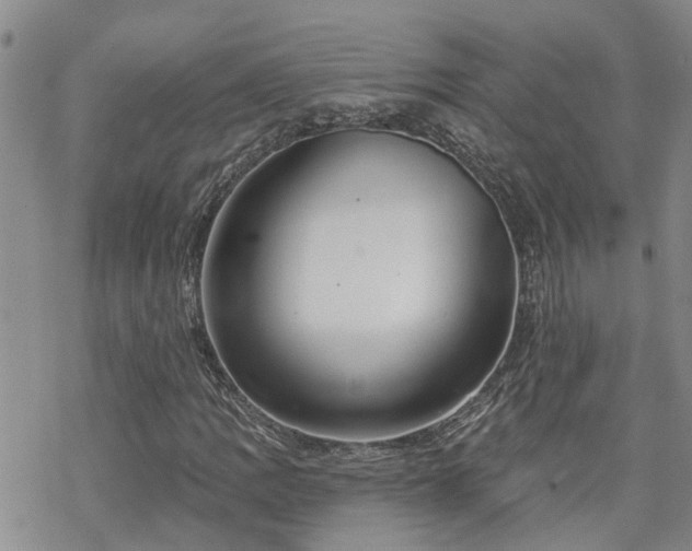 X0000070361109200606091024