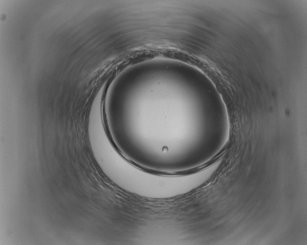 X0000070361110200606091024