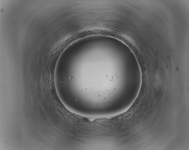 X0000070361111200606091024