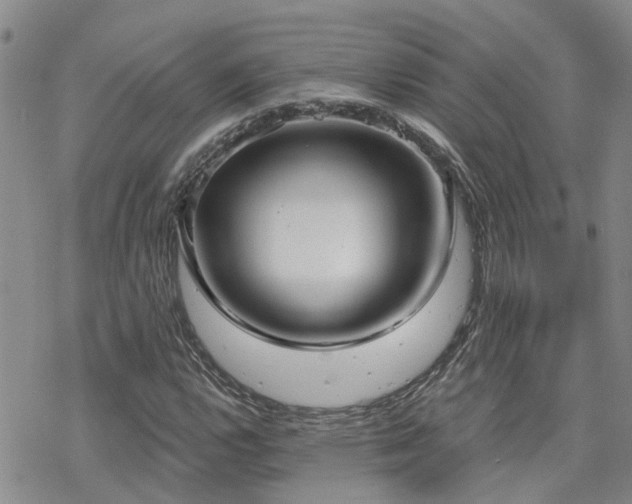 X0000070361112200606091024