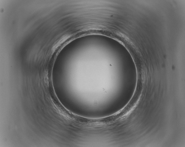 X0000070361113200606091024