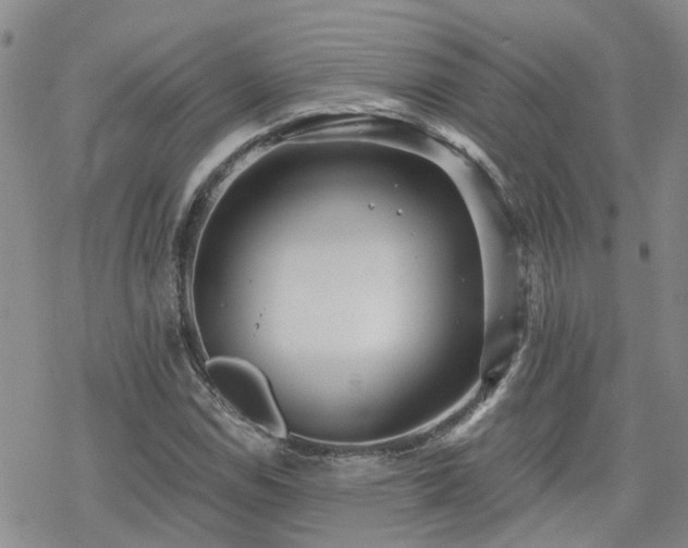 X0000070361114200606091024