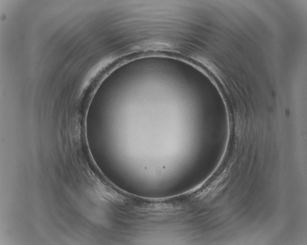 X0000070361115200606091024