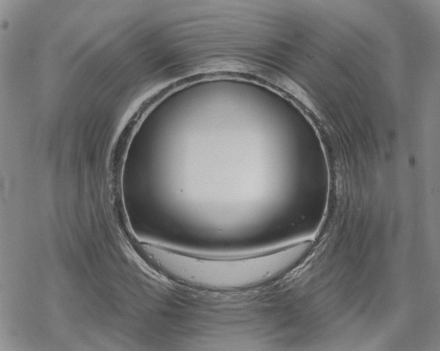 X0000070361116200606091024