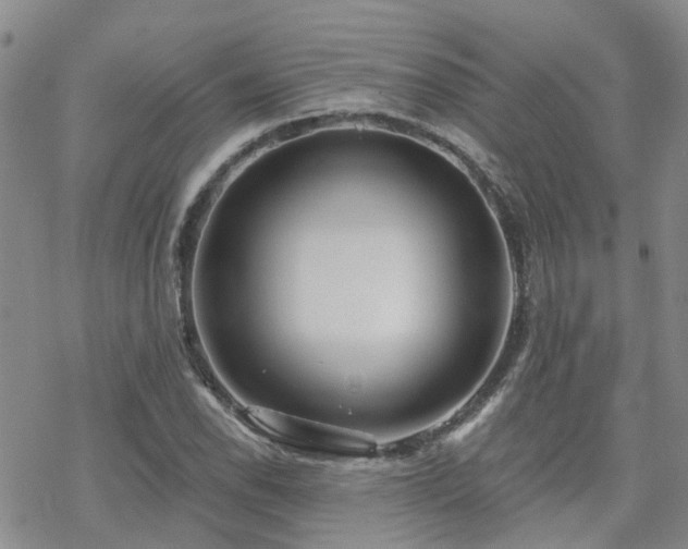 X0000070361118200606091024