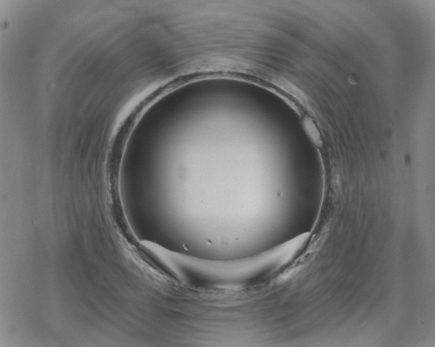 X0000070361120200606091024