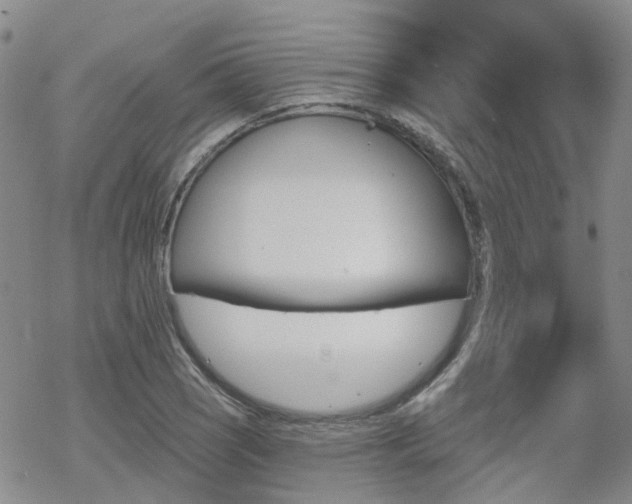 X0000070361121200606091025