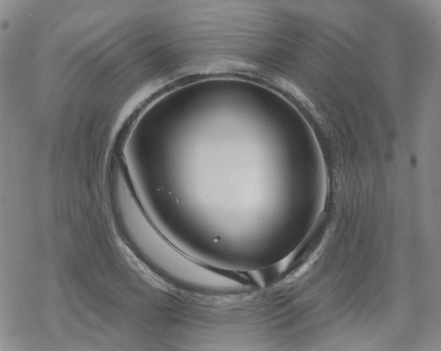 X0000070361122200606091025