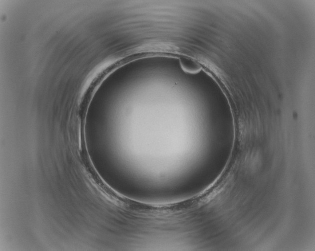 X0000070361123200606091025