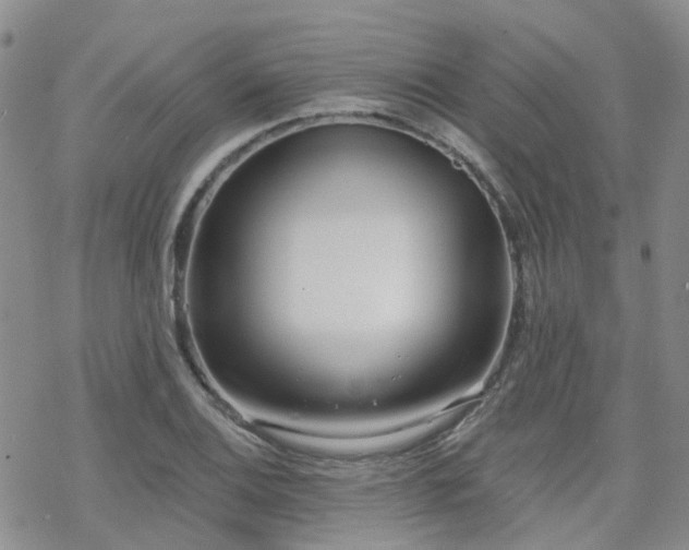 X0000070361124200606091025