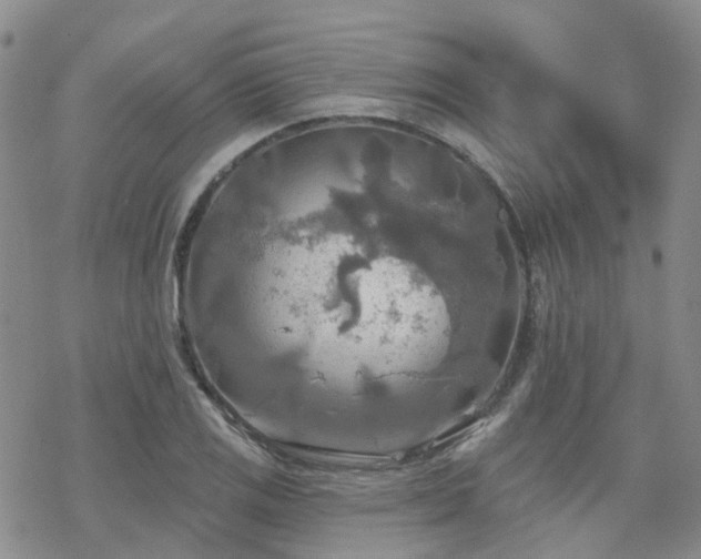 X0000070361125200606091025