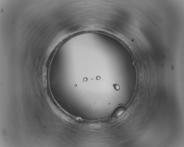 X0000070361126200606091025