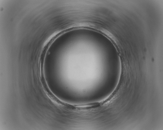 X0000070361127200606091025